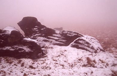 Animal Rock in Snow