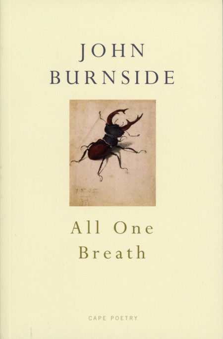 Stag Beetle, by Albrecht Durer, on the cover of John Burnside's 'All One Breath'.